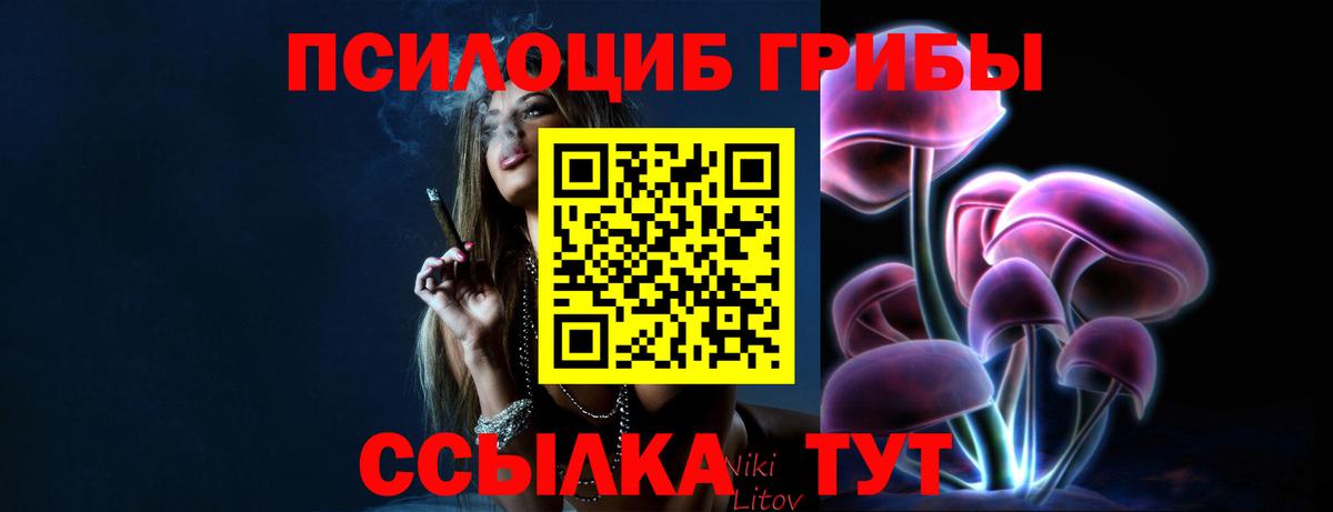 Махачкала  Псилоцибиновые грибы прущие грибы  Вход с VPN 
